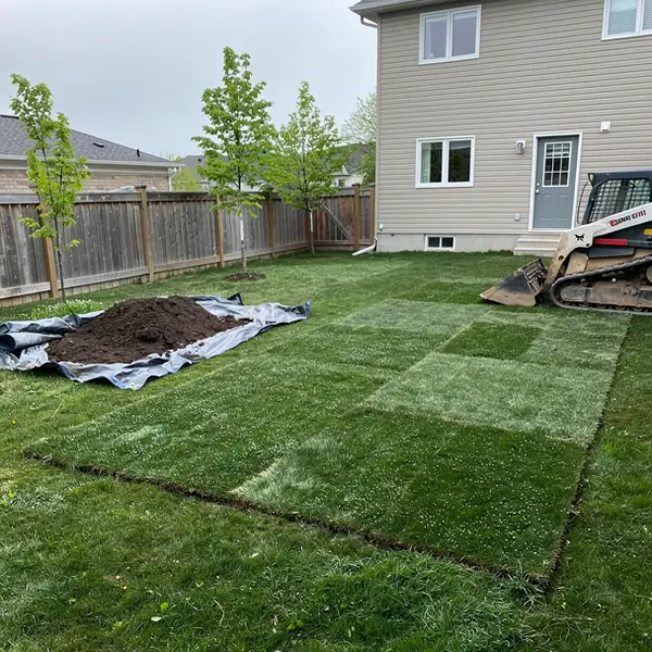 Fresh sod over filled pool in Guelph